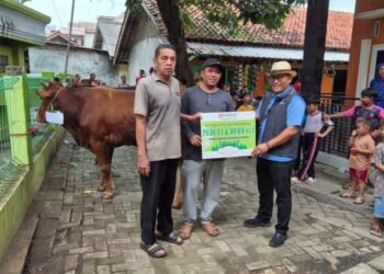 Iduladha 1446 H, PT Indah Kiat Tangerang Salurkan Puluhan Hewan Kurban