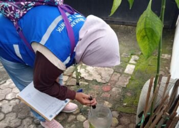 Dinkes Tangsel Imbau Masyarakat Waspada DBD dan Lakukan PSN 3M Plus