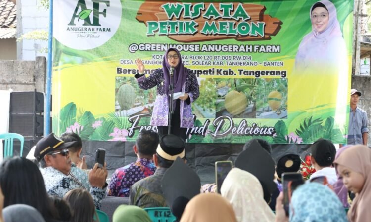 Solusi Pertanian Modern dan Ramah Lingkungan, Wabup Intan Apresiasi Green House Anugerah Farm