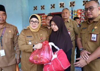 Wabup Intan Serahkan Bantuan untuk Korban Angin Puting Beliung di Desa Taban Kecamatan Jambe