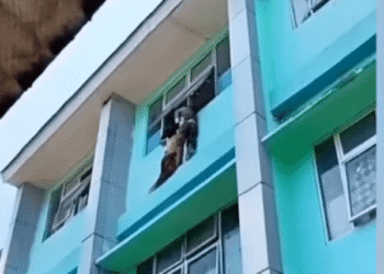 Siswa SDN Pondok Benda 1 yang Nyaris Jatuh, Kepala Dikbud Tangsel Deden Deni Minta Keamanan Diperketat dan Beri Pendampingan Psikologis