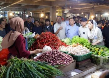 Pilar Saga Ichsan Pastikan Stok Pangan di Tangsel Aman