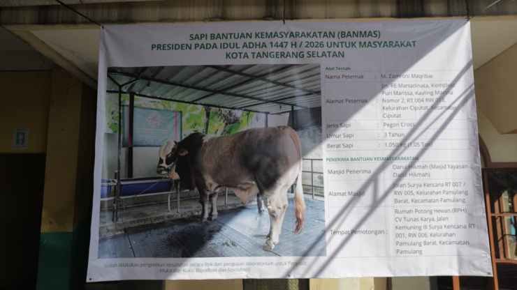 Walikota Benyamin Davnie Serahkan Banmas Sapi Kurban Presiden Prabowo untuk Masyarakat Tangsel